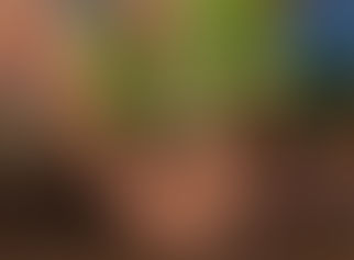 Uttarakhand: 5 लाख पौधों के साथ हरेला पर्व मनाने की तैयारी, जनता से भी बढ़-चढ़कर भागीदारी का आह्वान