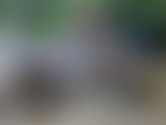 खतरे से ऊपर निकली अलकनंदा और मंदाकिनी, उत्तराखंड पर बढ़ा खतरा