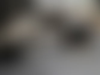 अब शहरी क्षेत्रों में आवारा कुत्तों को मिलेगा तय स्थान पर भोजन, गोद लेने की प्रक्रिया भी हुई शुरू