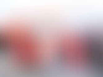 देहरादून से बंगलूरू के लिए सीधी उड़ान, मुख्यमंत्री ने किया शुभारंभ