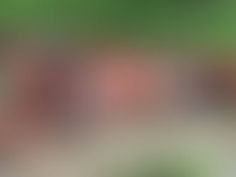 हर-हर महादेव के जयघोष से गूंजा नीलकंठ, सावन सोमवार को उमड़ी श्रद्धालुओं की भीड़