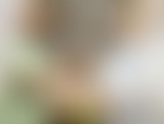 जगदीप धनखड़ की जगह अब सीपी राधाकृष्णन, भाजपा की रणनीति में बड़ा बदलाव