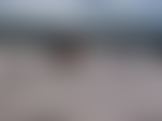 भारी बारिश के चलते चंद्रभागा नदी का दिखा रौद्र रूप