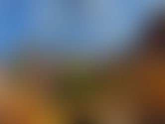 Chhath Puja 2025: ऋषिकेश में लागू होगा विशेष ट्रैफिक प्लान तैयार, यहाँ प्रवेश बंद, जानें