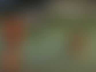 बिकिनी पहन गंगा में डुबकी, वायरल वीडियो ने मचाया बवाल