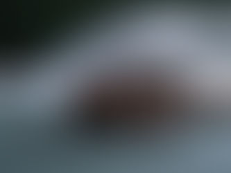 Rishikesh: शिवपुरी के रिजॉर्ट में अमेरिकी महिला की संदिग्ध हालात में मौत, पुलिस जांच में जुटी