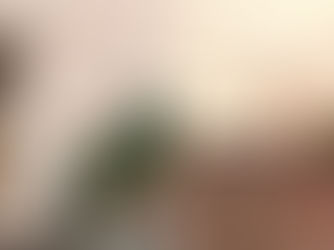 Rishikesh: पत्थर पर आराम फरमाते तीनों गुलदार, दहशत में ग्रामीण