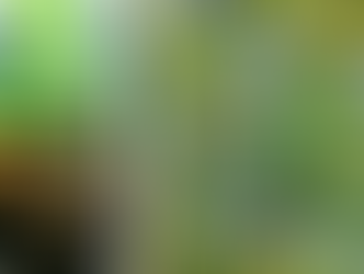 महाशिवरात्रि के दिन बेलपत्र के पेड़ के नीचे दीया जलाने से बदलेगी आपकी किस्मत, कैसे? ये जानें...