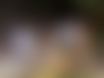 पुलिस और बदमाशों के बीच मुठभेड़, दो बदमाश गोली लगने से घायल, एक फरार