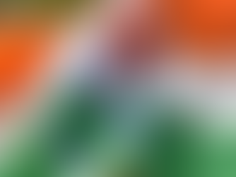 कांग्रेस प्रदेश उपाध्यक्ष नवनिर्वाचित 22 पार्षदों को किया सम्मानित