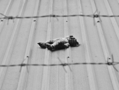 Abandoned teddy bear symbolizing the lost childhood and emotional neglect experienced by children of narcissistic parents.