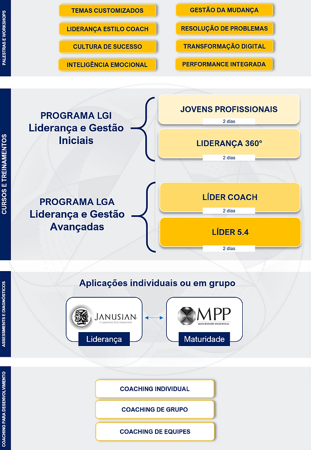 ACADEMIA DE LIDERANCA 060818_edited.png