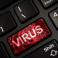 Virus.webp