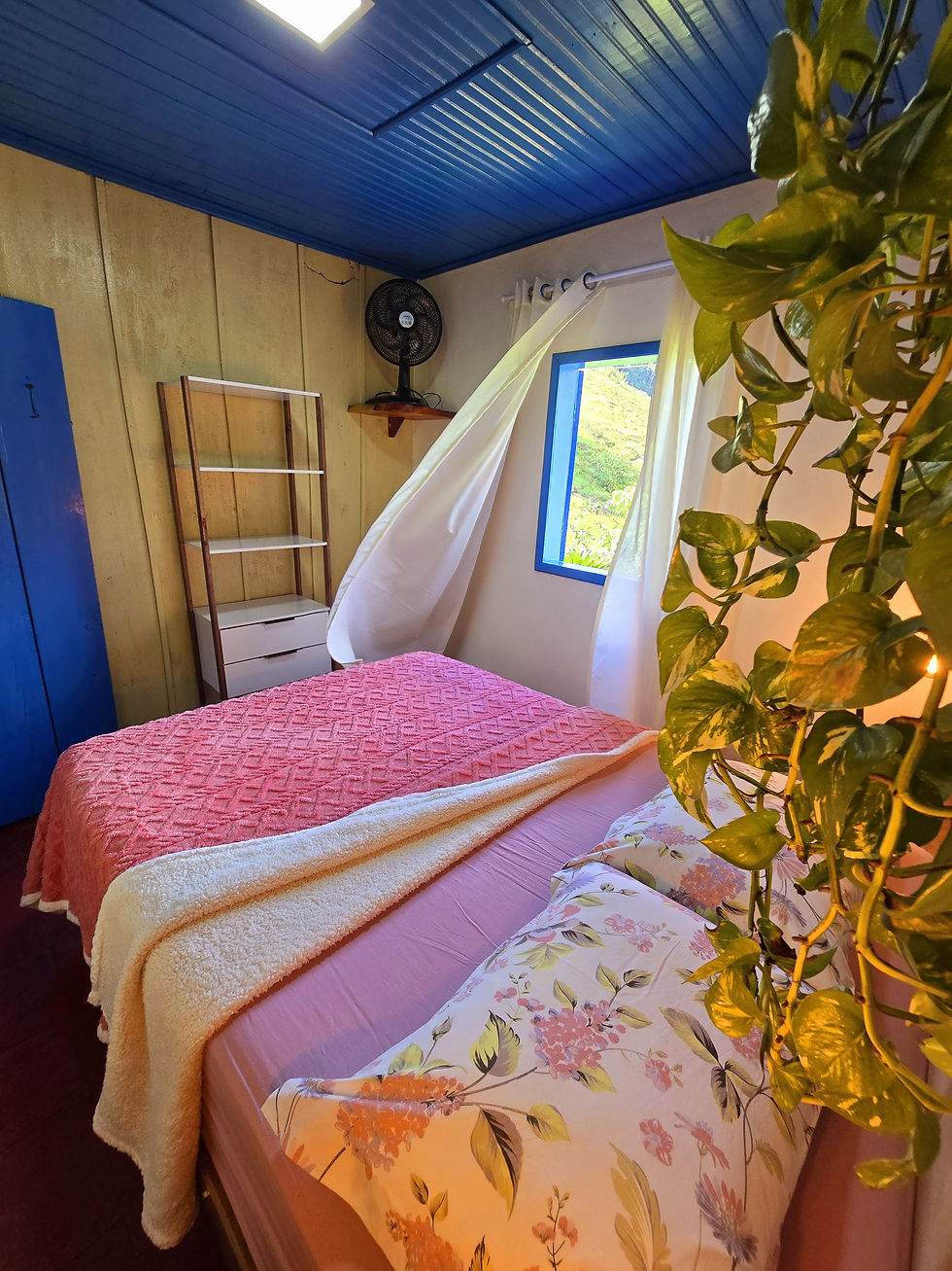 WhatsApp Image 2025-03-15 at 20.20.42 (1)