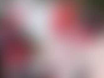 Noah Melick: I am still here