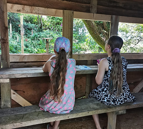 Campsite birdhide