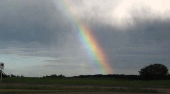 Rainbow Light