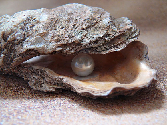 Precious Pearl...