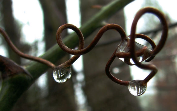 Unravelling