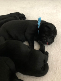 IMG_0773.jpeg