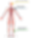 Polyvascular.png