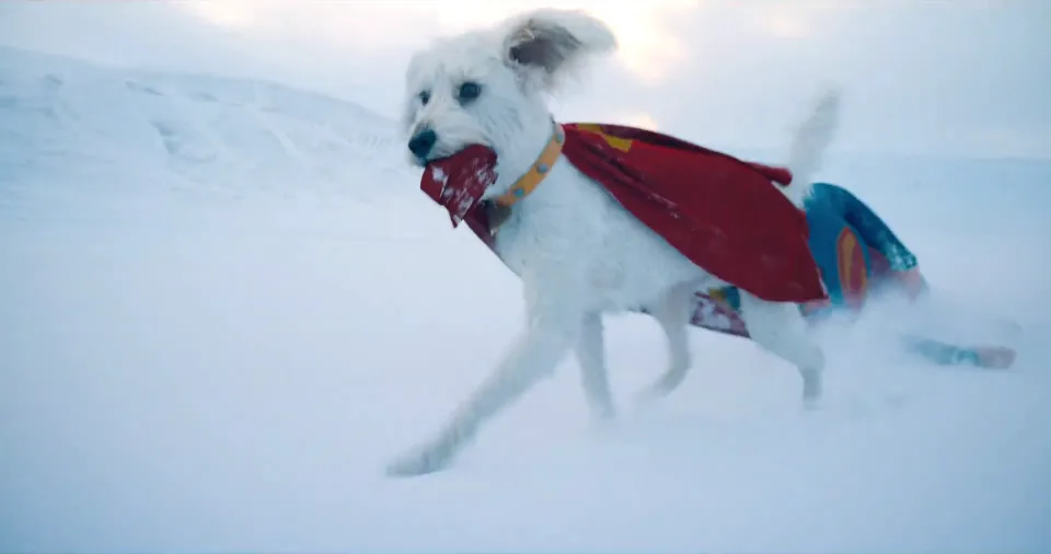 Krypto emmène Superman