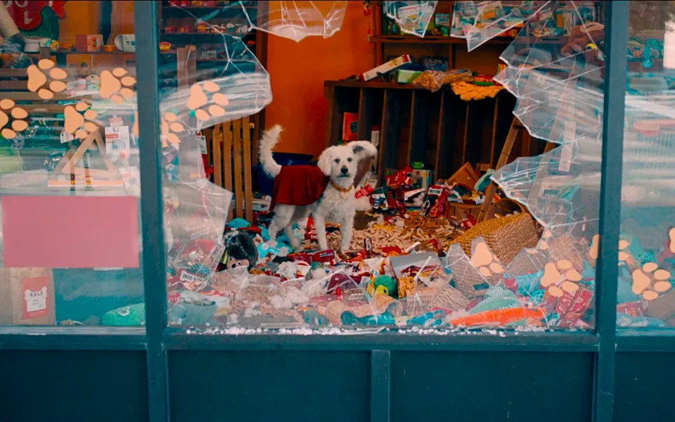 Krypto dans la boutique