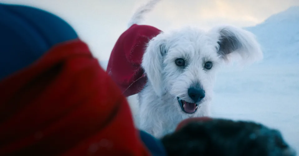 Krypto