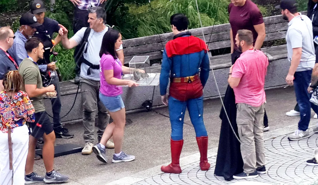 David Corenswet/Superman