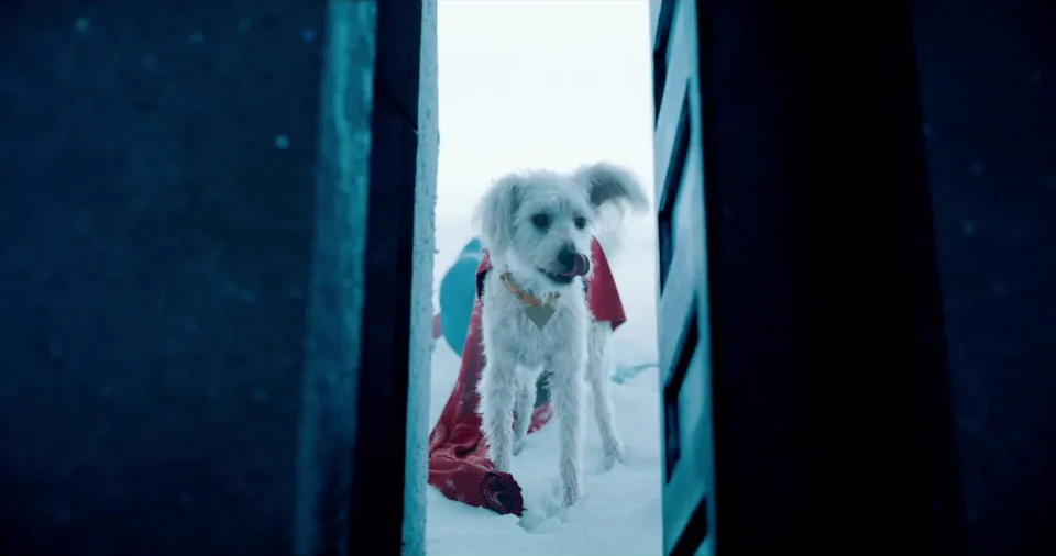 Krypto à la porte