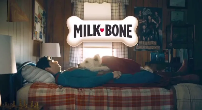 Milk-Bone : Superman avec Krypto
