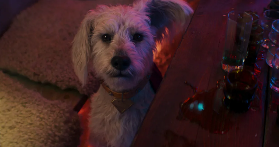 Kara Zor-El dans le bar spatial avec Krypto