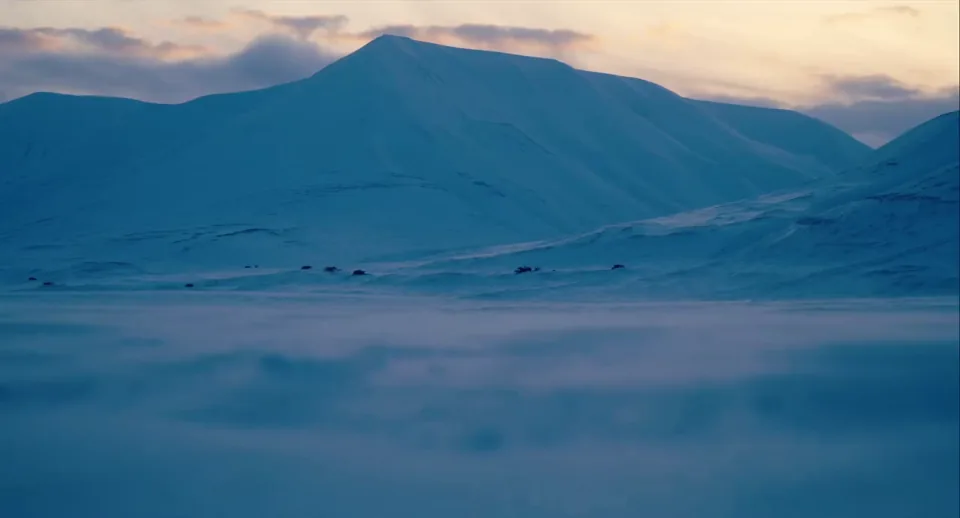 Le Grand Nord