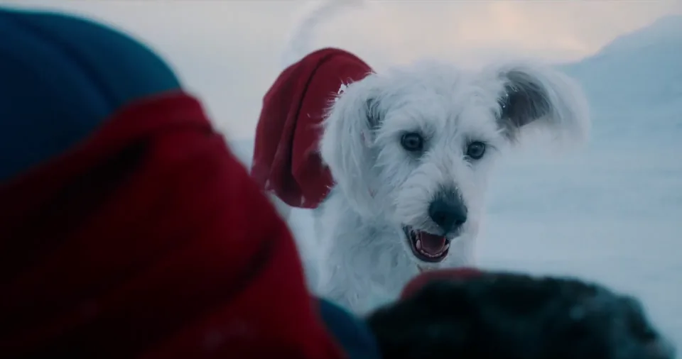 Krypto et Superman