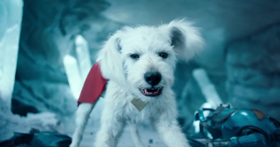 Krypto gardien