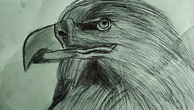 Sketch of an Eagle