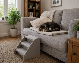 Caring For Elderly Pets 