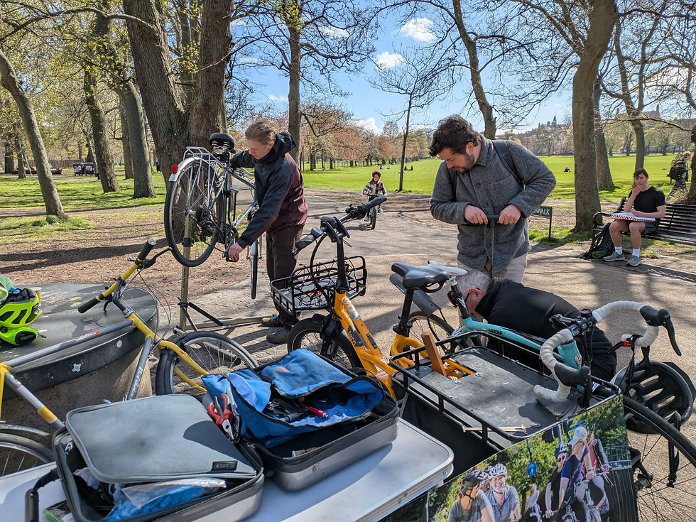 Dr Bike & Bike Curious