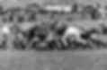 Scrum Down El Paso Rugby vs Atomic Sisters_edited.jpg