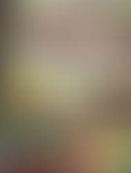 The Book Itch: Summary, Impression, Peer Review, & Library Use