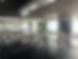 IMG_7901.JPEG