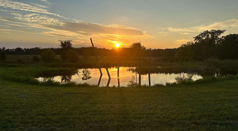 Windwalker K9 Kennel Grounds