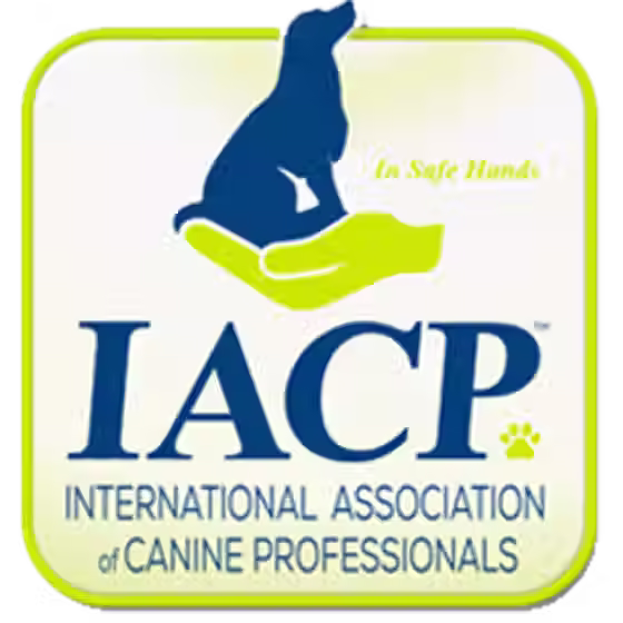 IACP certified