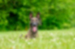 DSC_8734.jpg