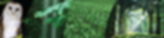 Cover2 2015-03-31 at 12.14.11 (1).png