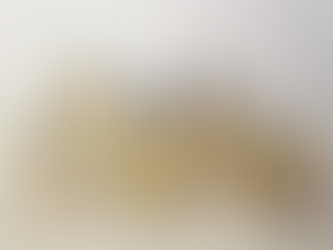 first honors course: this is it!