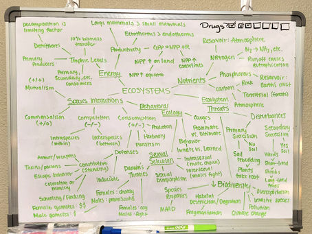 the interconnected web of life