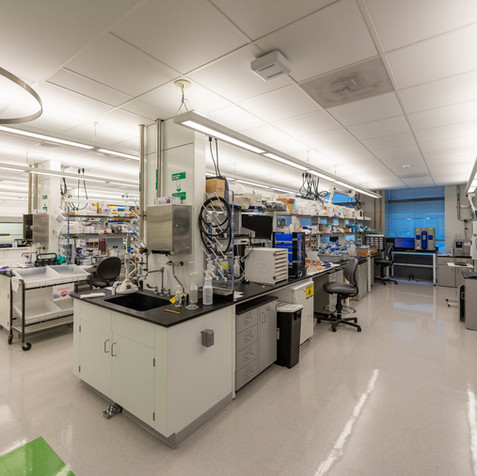 CAMBRIDGE, MASSACHUSETTS