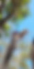 Messenger_creation_A3444071-EA3C-4187-AA89-3C1ABE9CA809.png