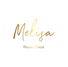 Color logo - no background.png